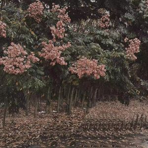 女同学裸睡我把她奶头摸硬了
